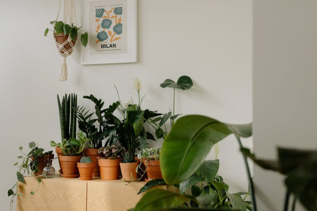 Potted green indoor plants on a wooden table, symbolizing thoughtful and culturally meaningful gifts.