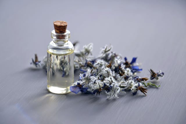 What to Gift a Vegan: 10 Remarkably Cool Vegan Gifts 5 Vegan Gifts - Plant based perfume