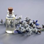 What to Gift a Vegan: 10 Remarkably Cool Vegan Gifts 10 Vegan Gifts - Plant Based Perfume